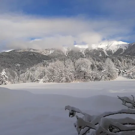 Apartament Im Alten Zollhaus Dellach (Hermagor)